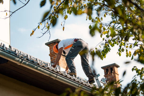 Best Chimney Flashing Repair  in Kenyon, MN