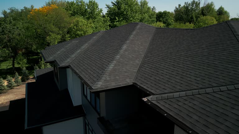 Best Roof Insulation Installation  in Kenyon, MN