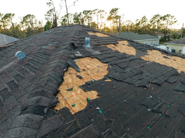 Best Emergency Roof Repair Services  in Kenyon, MN