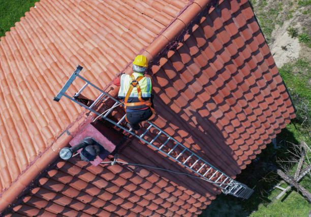 Best Storm Damage Roof Repair  in Kenyon, MN