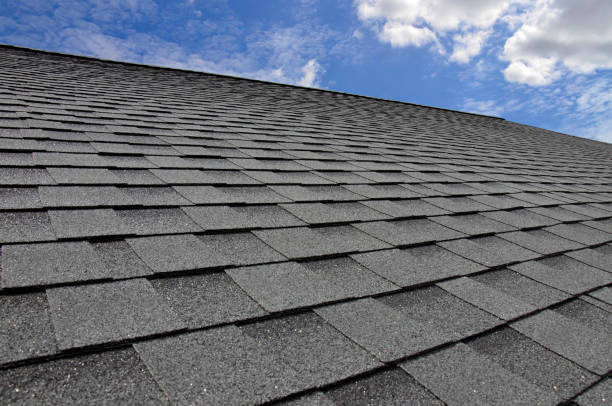 Best Roof Maintenance and Cleaning  in Kenyon, MN