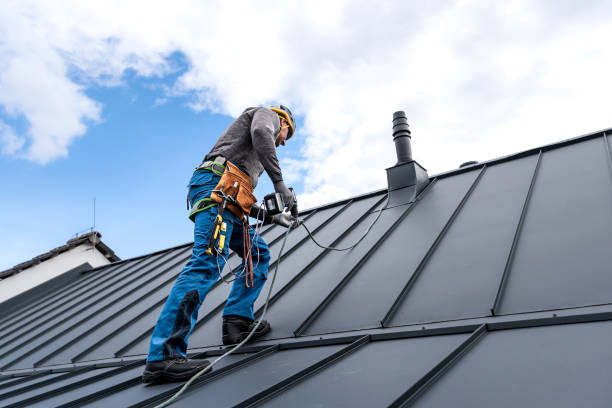 Best Commercial Roofing Services  in Kenyon, MN